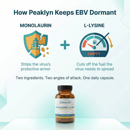 Peaklyn L-Lysine + Monolaurin For EBV